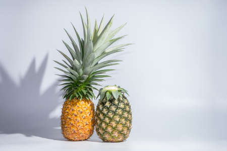 Pineapple White Backgroundの写真素材