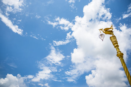 Swan Lampの写真素材