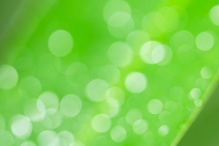 Bokeh circles green background