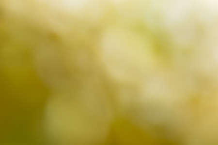Background bokeh blurred yellowの写真素材