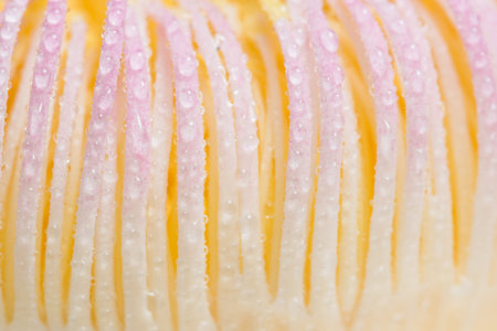 Background macro pollen