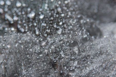 Background macro water drops on feathers