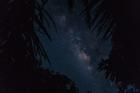 Sky background and stars at night Milkyway