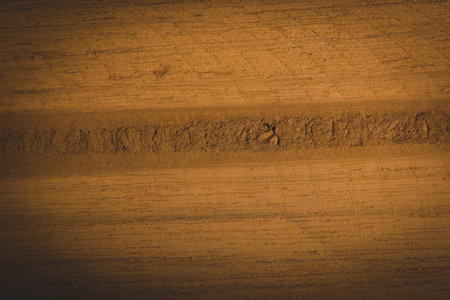 Bark Pattern Background