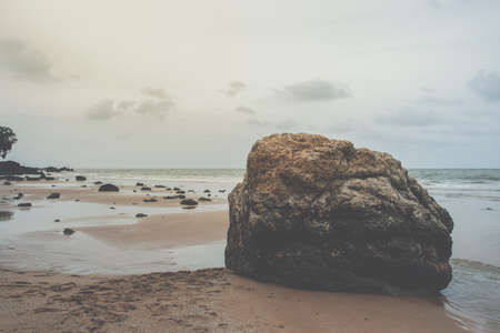 View of nature, sea and treesの写真素材