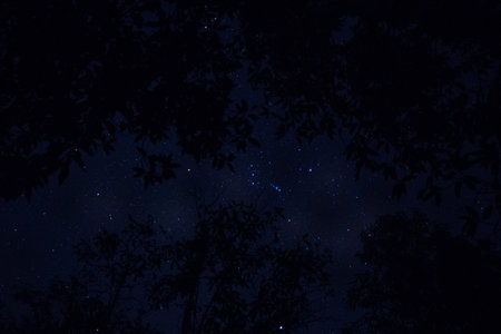 Sky background and stars at night