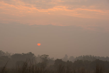 Sky and sunshine in the morning