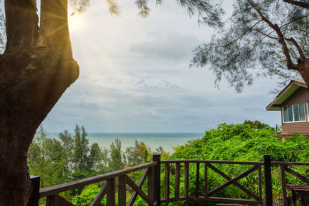 View of nature, sea and treesの写真素材