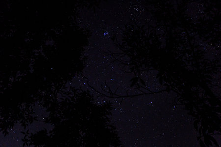 Sky background and stars at night