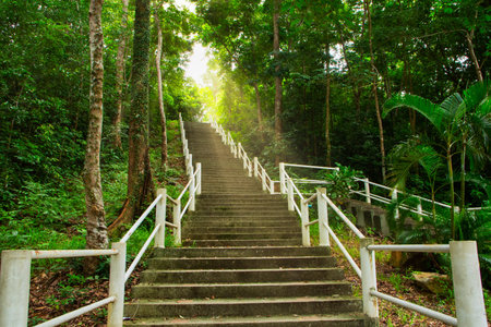 Scenic nature trails, woodland