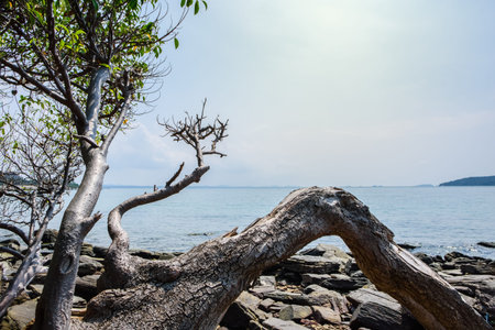 khao laem ya national park