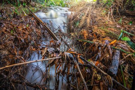 Waterfalls in the wildの写真素材
