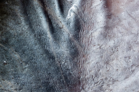 Macro Leather Fish