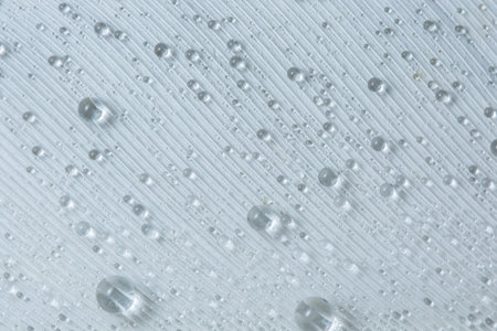 Macro background drops on white feathers.の写真素材