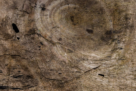 Background wood texture