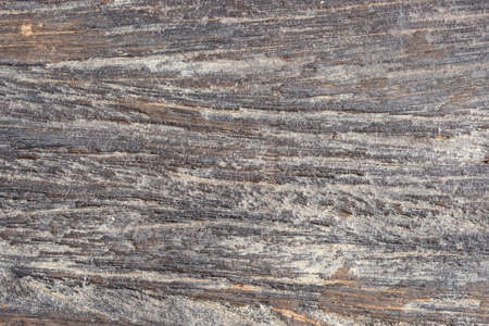 Wood patterned background on spaceの写真素材