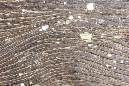 Wood patterned background on space