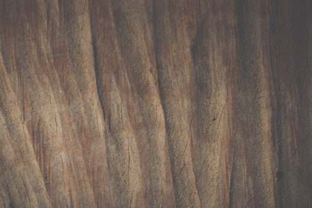 Background wood texture