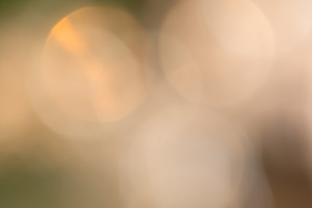 Bokeh from natural light