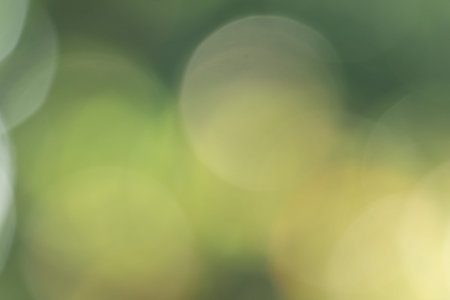 Bokeh from natural light