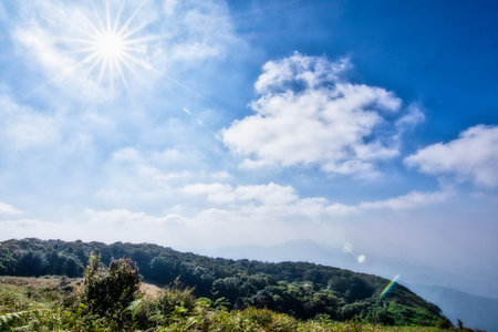 Natural views and trees at Kew Mae Pan