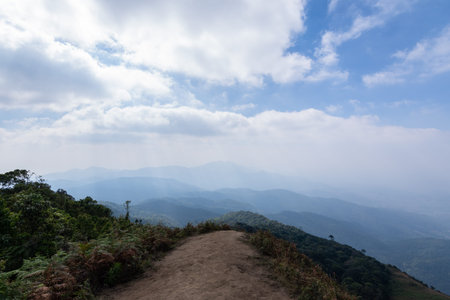 Natural views and trees at Kew Mae Pan