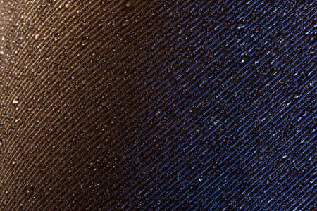 Macro drops of water on the feathers