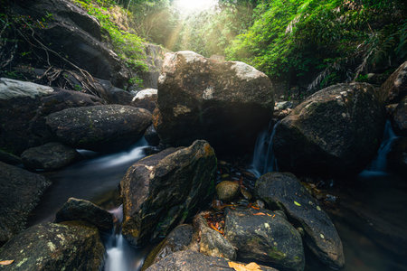 Natural scenery forests, waterfalls Khlong Pla Kang