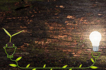 Nature love concept to save energy, save money, wood pattern backgroundの写真素材