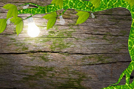 Love the environment, love nature, save energy and light. Wood grain backgroundの写真素材