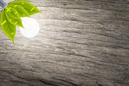 Love the environment, love nature, save energy and light. Wood grain backgroundの写真素材