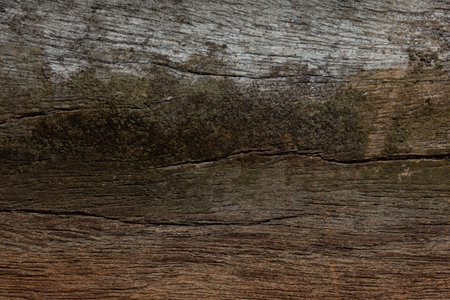 The old wood pattern texture abstract backgroundの写真素材