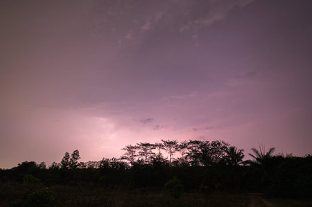 View of lightning in the sky at nightの写真素材