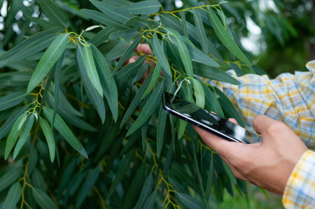 Farmers check the quality of trees in the garden