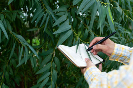 Farmers check the quality of trees in the gardenの写真素材
