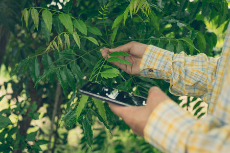 Farmers check the quality of trees in the garden