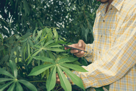 Farmers check the quality of trees in the garden
