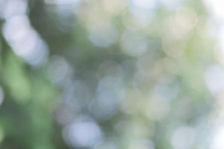 Green light bokeh from natural lightの写真素材