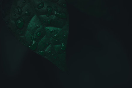 The concept of love the world green environment Water droplets on the leaves Blurred bokeh...