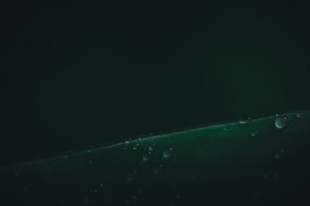 The concept of love the world green environment Water droplets on the leaves Blurred bokeh...
