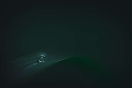 The concept of love the world green environment Water droplets on the leaves Blurred bokeh backgroundの写真素材