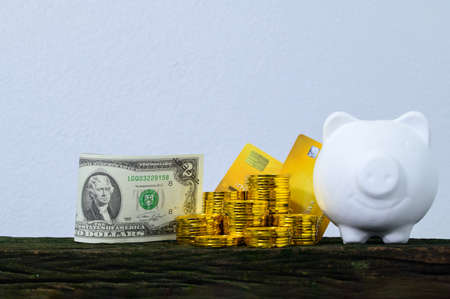 Concept of saving money pigの写真素材