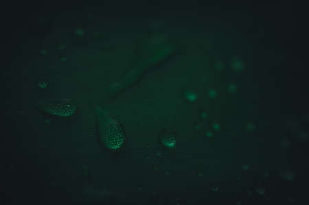 The concept of love the world green environment Water droplets on the leaves Blurred bokeh backgroundの写真素材