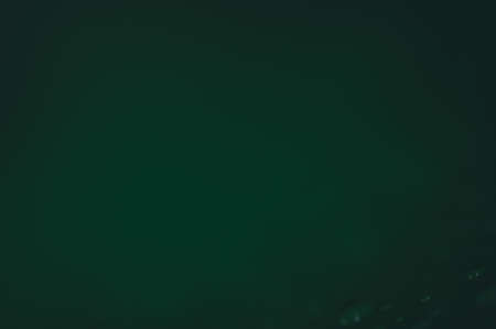 The concept of love the world green environment Water droplets on the leaves Blurred bokeh backgroundの写真素材