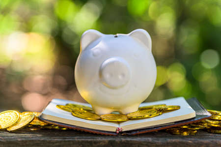 Piggy bank save money background bokeh natureの写真素材