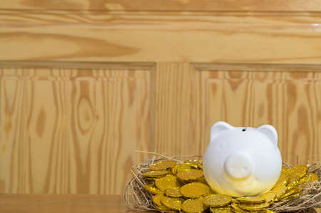 The idea of making money, collecting money is placed on a straw.の写真素材