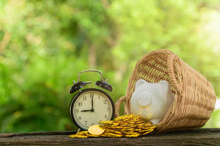 Concept of saving money Green blur bokeh backgroundの写真素材