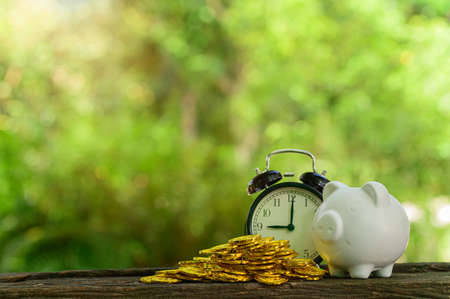 Concept of saving money Green blur bokeh backgroundの写真素材