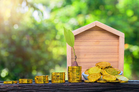 Concept of saving money and business growthの写真素材