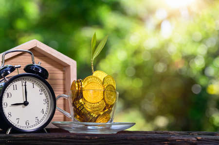 Plant Growing In Savings Coins Green Bokeh Background with Sun Lightの写真素材